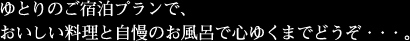 ゆとりのご宿泊プランで、おいしい料理と自慢のお風呂で心ゆくまでどうぞ・・・。